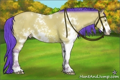 Horse Color:Watercolor Amber Champagne Sabino 