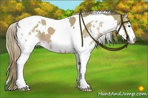Horse Color:Watercolor White Spotted Chestnut Splash Tobiano
