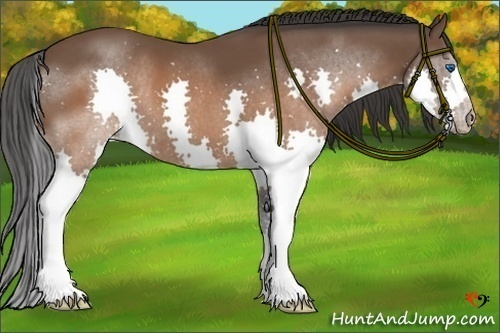 Horse Color:Brown Splash