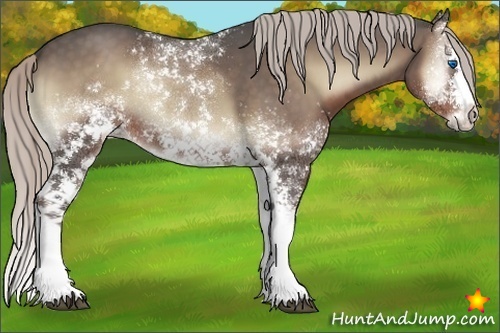 Horse Color:White Spotted Silver Blue Onyx Splash