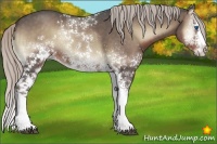 Horse Color:White Spotted Silver Blue Onyx Splash 
