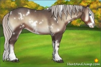 Horse Color:White Spotted Silver Blue Onyx Splash