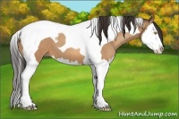Horse Color:Amber Champagne Splash Tobiano 