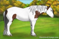 Horse Color:Bay Splash Tobiano 