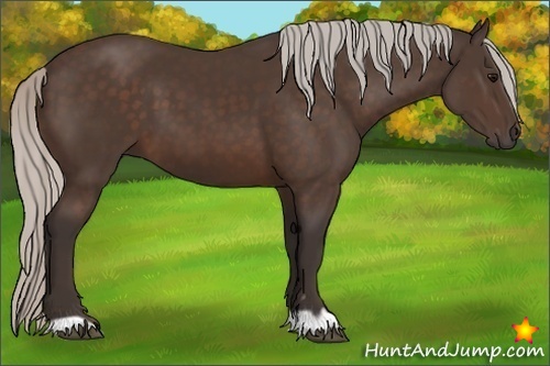 Horse Color:Silver Brown 