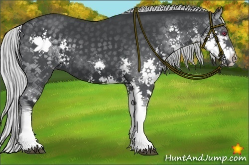 Horse Color:Silver Black Chinchilla Splash