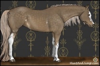 Horse Color:White Spotted Chocolate Palomino