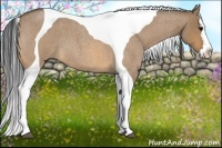 Horse Color:Bay Roan Dun Splash Tobiano 
