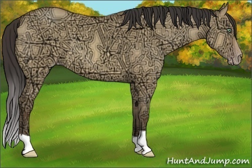 Horse Color:Amber Champagne Ice Dun 