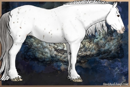 Horse Color:White Spotted Liver Chestnut Sabino Blanket