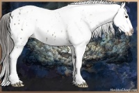 Horse Color:White Spotted Liver Chestnut Sabino Blanket 