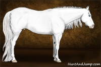 Horse Color:Silver Buckskin Pearl Snowcap 