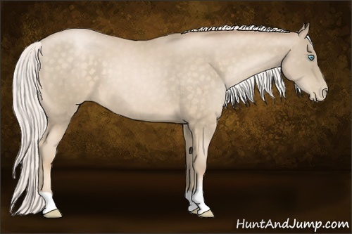 Horse Color:Silver Buckskin Pearl 