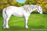 Horse Color:White Spotted Silver Smoky Black Pearl Sabino Splash Rabicano