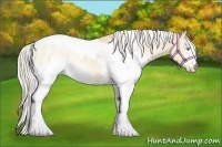 Horse Color:White Spotted Silver Buckskin Pearl Dun Tobiano