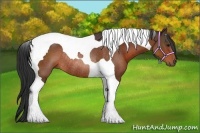 Horse Color:Bay Tobiano Rabicano