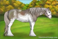 Horse Color:White Spotted Silver Black 