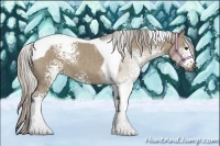 Horse Color:White Spotted Silver Grullo Tobiano 