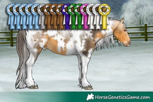 Horse Color:White Spotted Buckskin Tobiano 