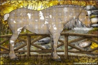 Horse Color:Plaid  White Spotted Silver Blue Roan Rabicano 