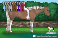 Horse Color:Silver Black Tobiano