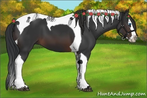 Horse Color:Brown Splash Tobiano 