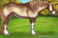 Horse Color:Red Onyx 