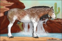 Horse Color:White Spotted Bay Ice