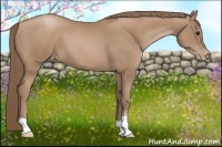Horse Color:Black Pearl