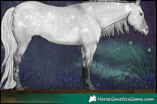 Horse Color:White Spotted Silver Grullo Chinchilla 