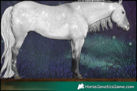Horse Color:White Spotted Silver Grullo Chinchilla 