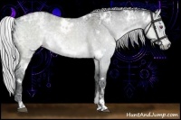 Horse Color:White Spotted Silver Grullo Chinchilla Ice Roan Rabicano 