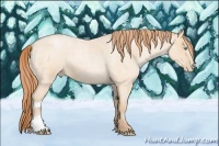 Horse Color:Buckskin Roan Pearl and Buckskin Roan Pearl