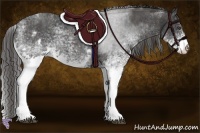 Horse Color:White Spotted Black  Brindle