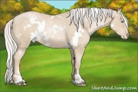 Horse Color:White Spotted Silver Smoky Black Pearl Sabino 