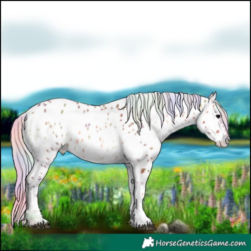 Horse Color:Nacre Silver Bay Onyx Sabino Appaloosa 