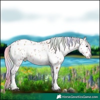 Horse Color:Nacre Silver Bay Onyx Sabino Near Leopard