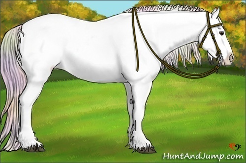Horse Color:Nacre Silver Bay Sabino Appaloosa