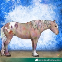 Horse Color:Nacre Silver Brown Sabino Blanket