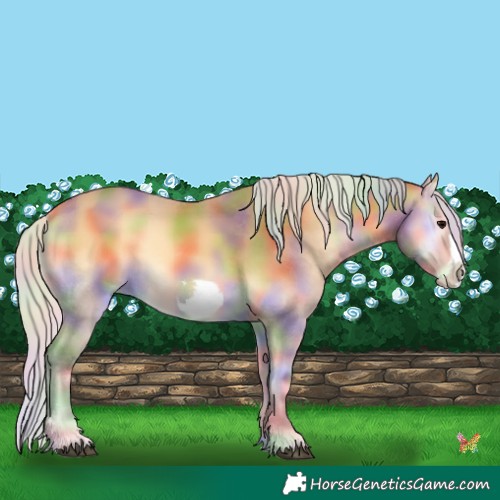 Horse Color:Nacre Silver Buckskin Onyx Frame