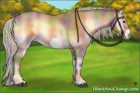 Horse Color:Nacre Silver Buckskin Onyx Frame 
