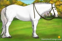Horse Color:Nacre Silver Bay Sabino Blanket 
