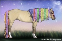 Horse Color:Painted Silver Buckskin Dun Rabicano
