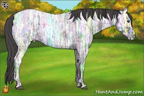 Horse Color:Blue Ice Roan Brindle
