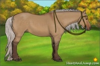 Horse Color:Silver Bay Dun 