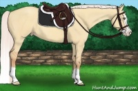 Horse Color:Silver Amber Champagne Dun Splash 