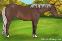 Horse Color:Silver Brown 