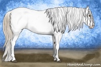 Horse Color:Liver Chestnut Pearl Snowflake Varnish