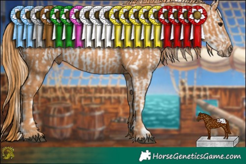 Horse Color:White Spotted Black Pearl Appaloosa  Brindle