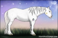 Horse Color:Silver Bay Tobiano Appaloosa